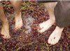 grapes.jpg