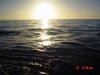 DSC00768.jpg