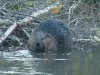 mypics051.jpg