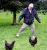 251px-Catch-the-chickens.jpg