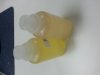 20130607_145202.jpg