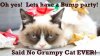 grumpycat1.jpg