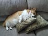 2012-11-01_11-47-33_964.jpg