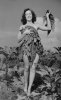 tobacco_dress.jpg