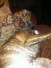 IMG_20130612_203942_613.jpg