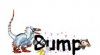 Bump animal.jpg