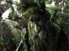 treebeard.jpg