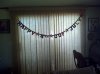 IMG_20110704_180027.jpg