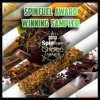 SpinfuelSampler1.jpg