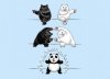 panda fusion.jpg
