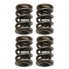 valve springs.jpg