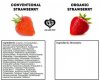 Strawberry-comparison.jpg