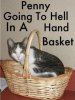 penny in basket from ecf.jpg