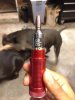ecig3.jpg ecig3.jpg