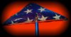 flag and pv.jpg