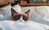 grumpy.jpg