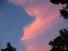 pink sky.jpg