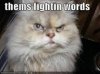 fighting words.jpg