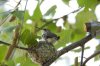 DSC_2872.jpg