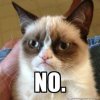 grumpycatNO.jpg