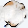 Cloud AttyPops avi.jpg