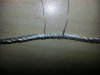 20130809_113330.jpg