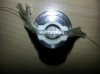 20130809_113710.jpg