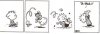 calvin ss.jpg