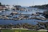 maine.jpg