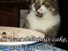 Cake_Cat.jpg