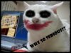 why_so_serious_cat-12947.jpg