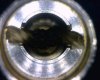 EVOD pre dry burn jpeg.jpg