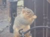 100_3904.jpg