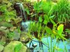 100_3963.jpg