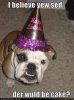 cakedog.jpg