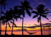 sunset.jpeg