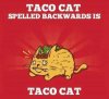tacocat.jpg