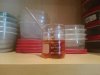 Juices Steep in a Beaker for First 24 Hours.jpg