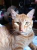 2013-05-13 11.39.56.jpg