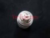Magoo_coilwatermarked.jpg
