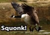 Squonk.jpg