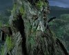 Treebeard.jpeg