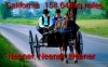 Amish Teens copy.jpg