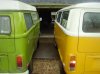 my busses.jpg