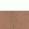 yourautotrim-store_2269_13996041.gif yourautotrim-store_2269_13996041.gif