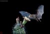 bat_drinking_nectar.jpg