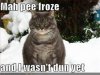 my pee froze.jpg