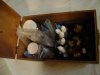 Dsc01686.jpg
