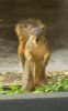 Nuts-1.jpg