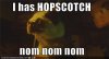lolgozu.jpeg